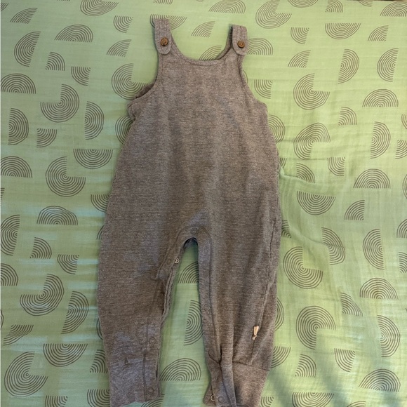 Burt's Bees Baby Other - Gray Toddler Overalls